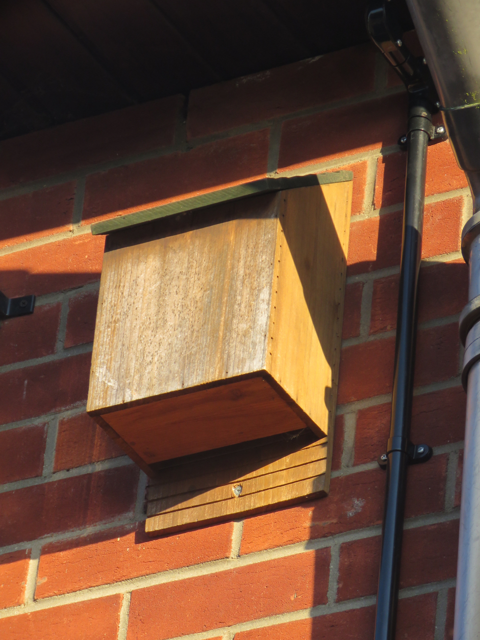 Bat Box