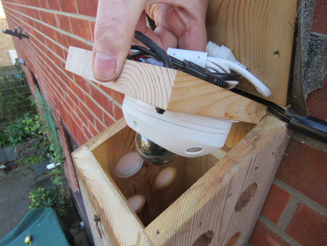 The bird box camera.