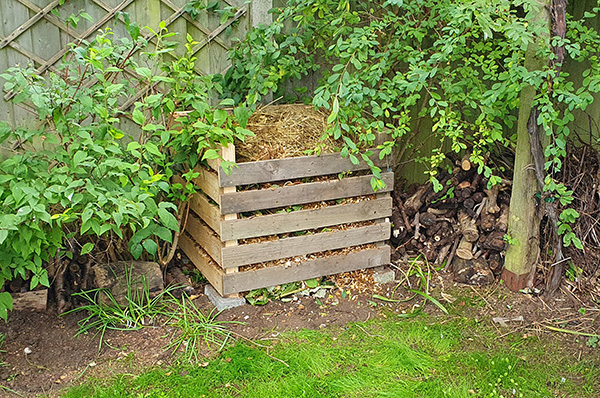 Compost Heap