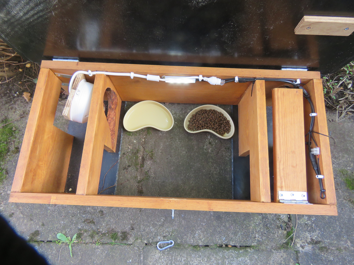 Hedgepig Feeder view inside