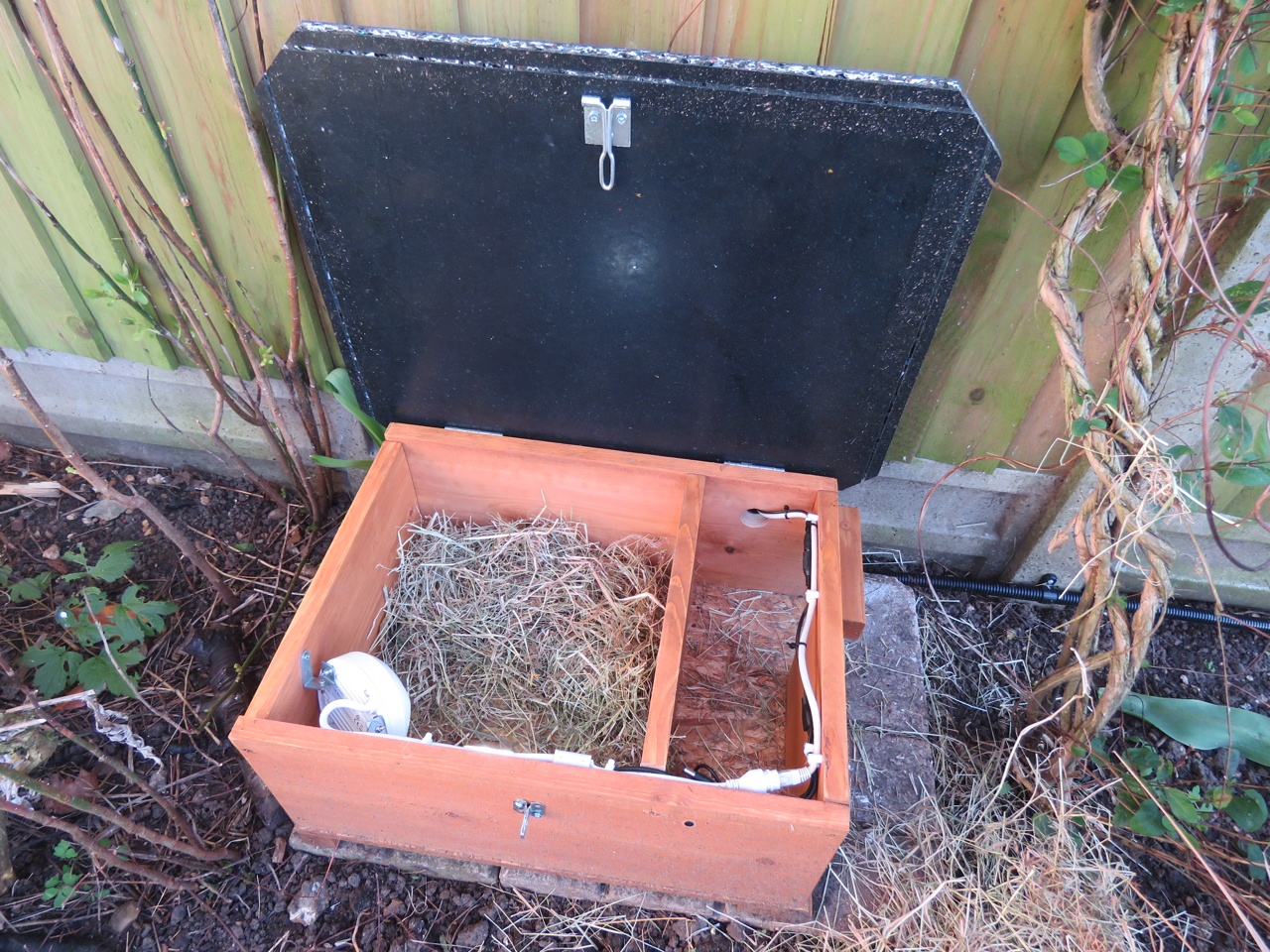 interior of the hedgehog house